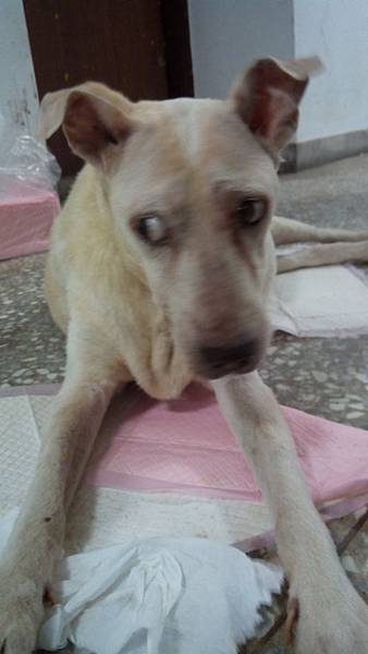 IMG_20140801_175724 IMG_20140801_175724