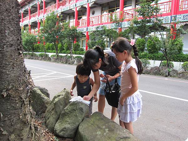 IMG_9342 IMG_9342