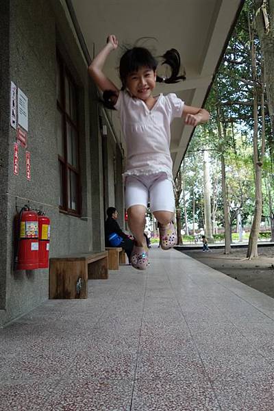 DSC00537 (Large) DSC00537 (Large)