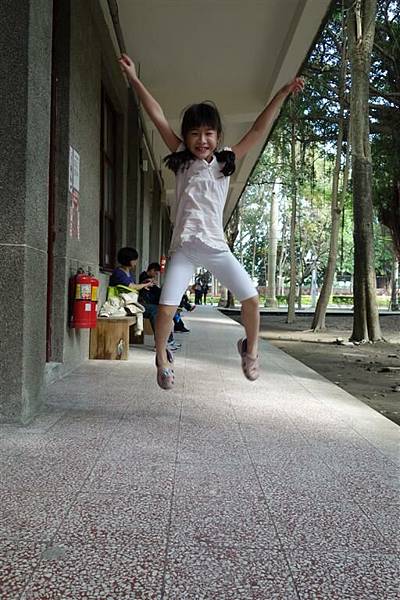 DSC00434 (Large) DSC00434 (Large)