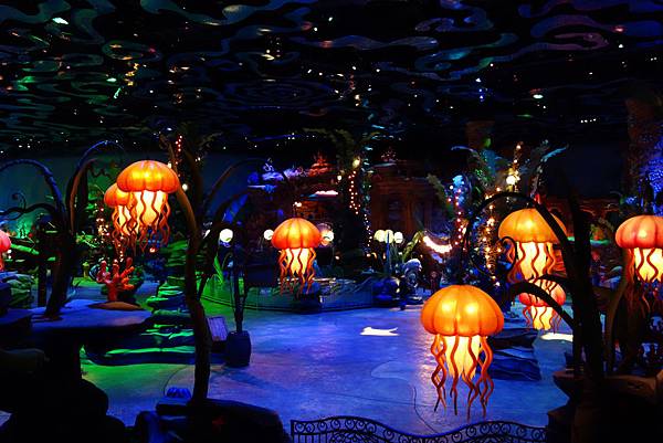DSC04165 DSC04165