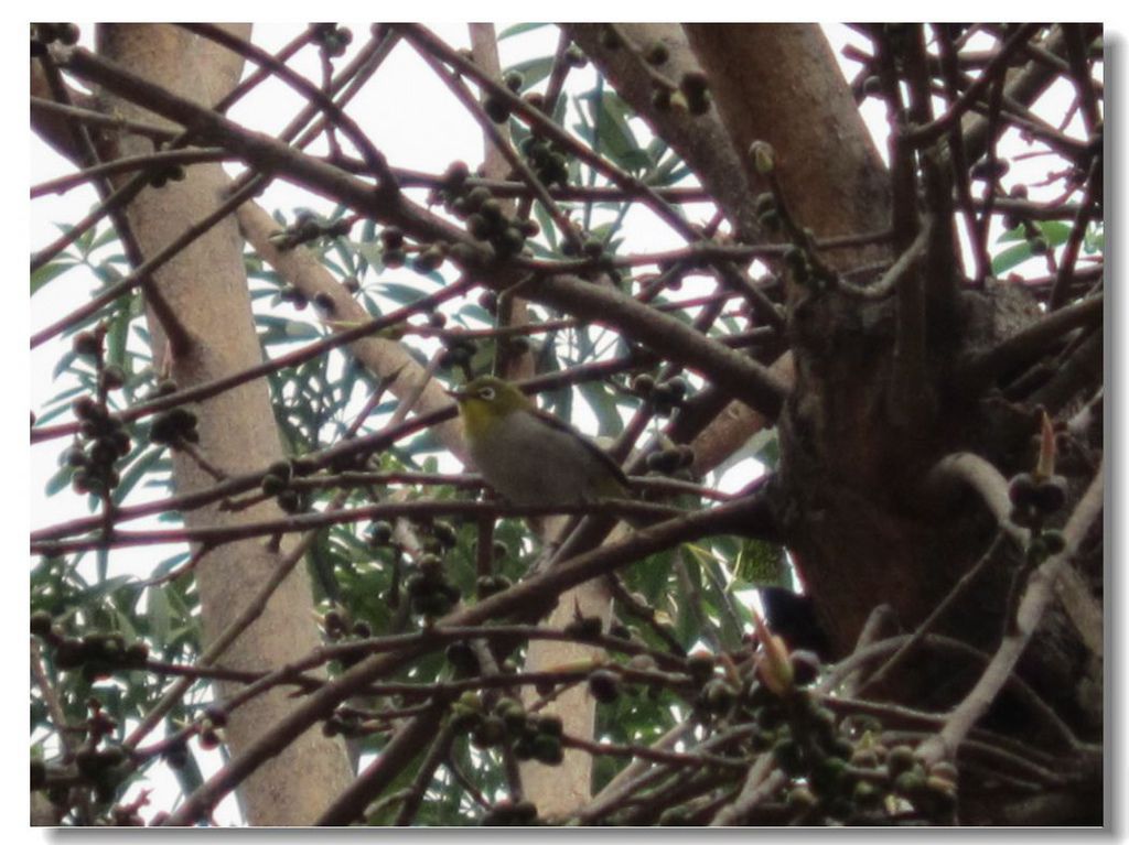 IMG_2374.jpg IMG_2374.jpg