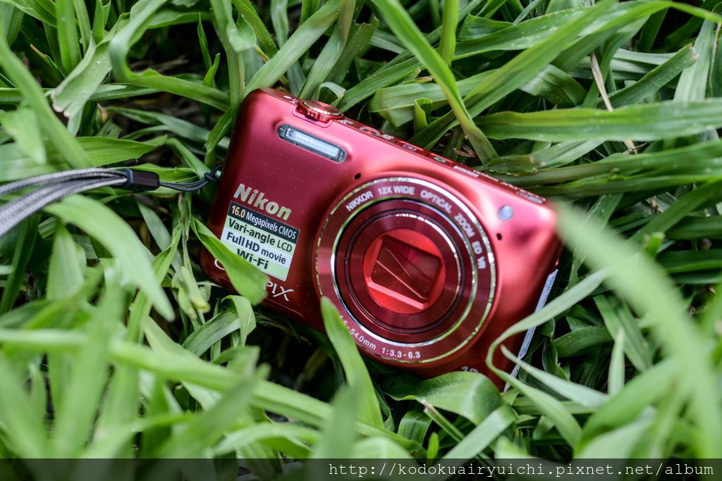 DSC_1766.jpg DSC_1766.jpg