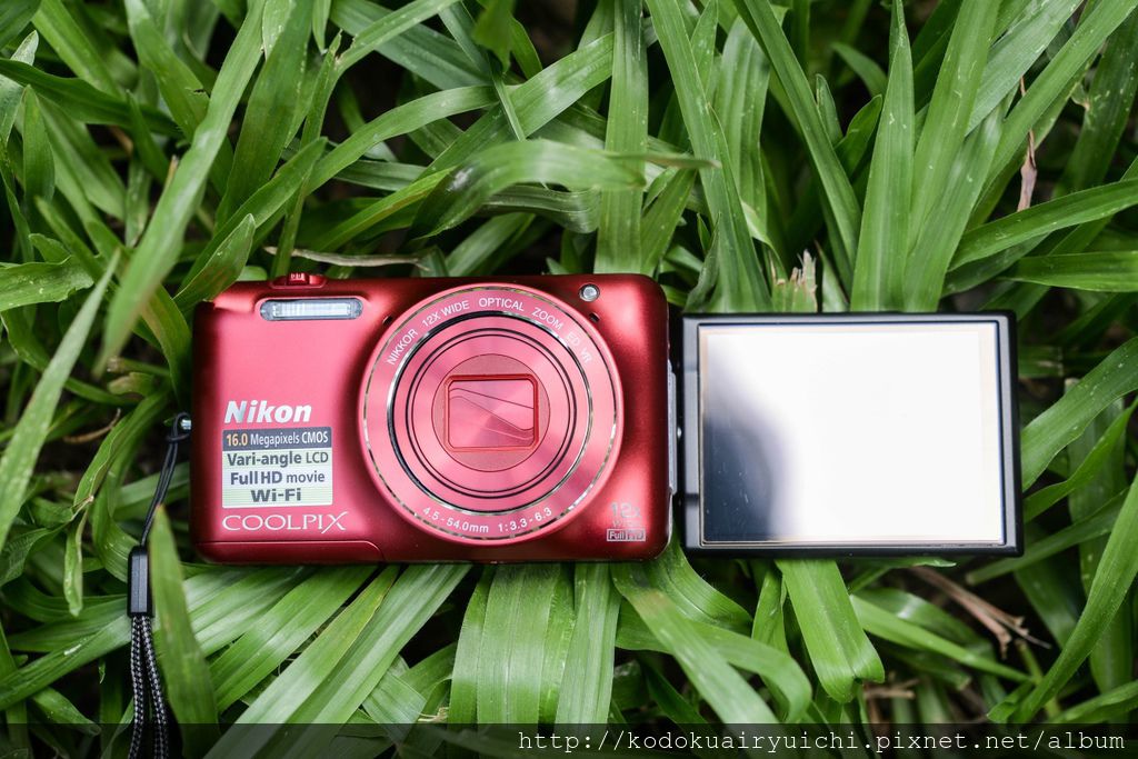 DSC_1774.jpg DSC_1774.jpg