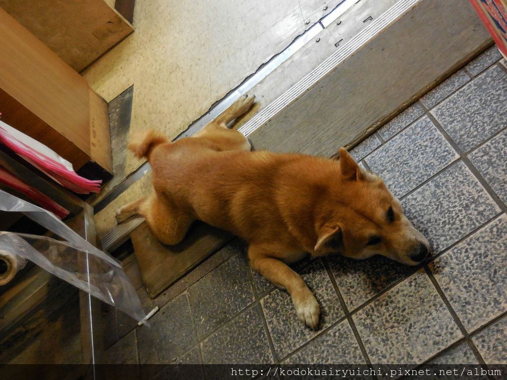 DSCN0199.jpg DSCN0199.jpg