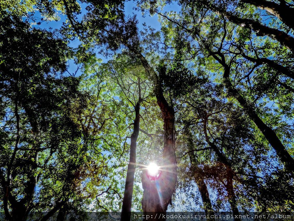 DSCN0250.jpg DSCN0250.jpg