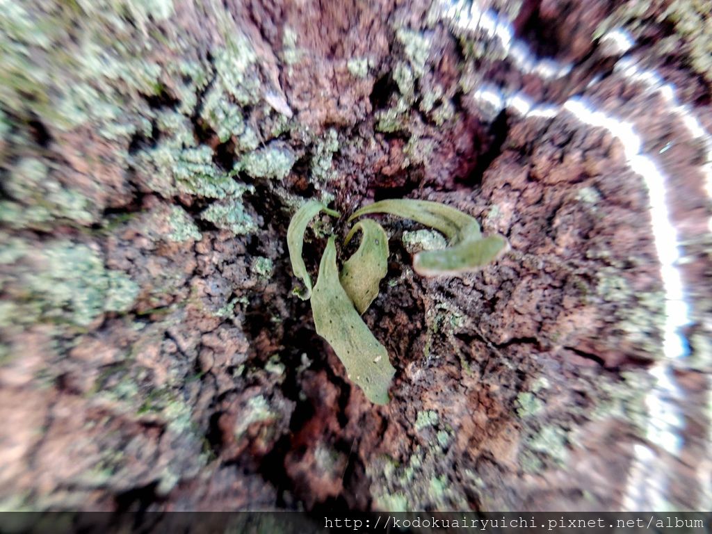 DSCN0258.jpg DSCN0258.jpg