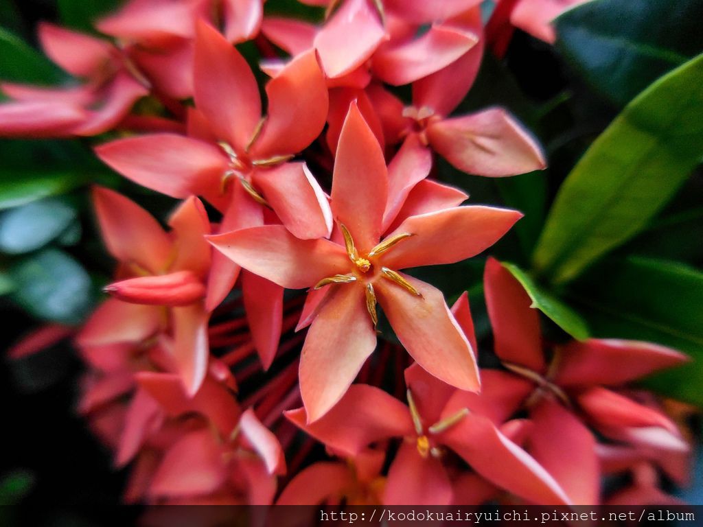 DSCN0283.jpg DSCN0283.jpg