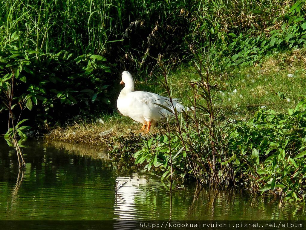 DSCN0329.jpg DSCN0329.jpg