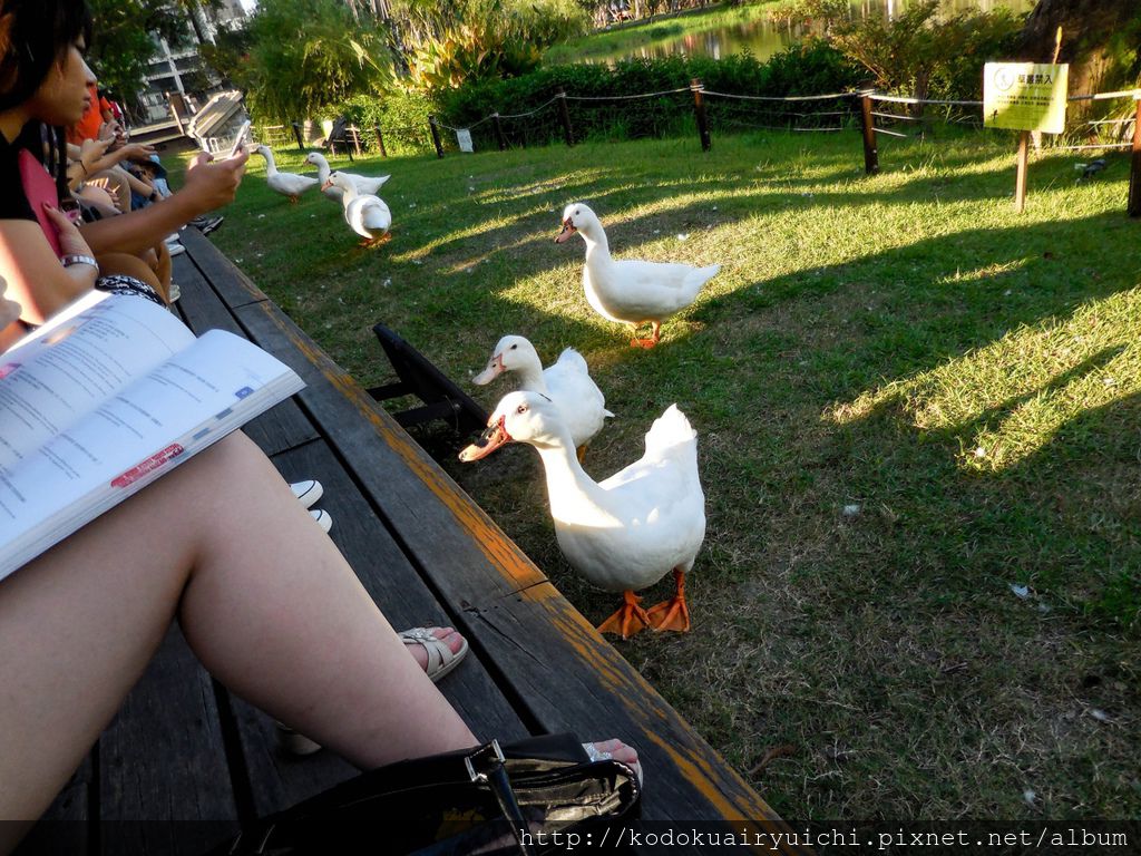 DSCN0335.jpg DSCN0335.jpg