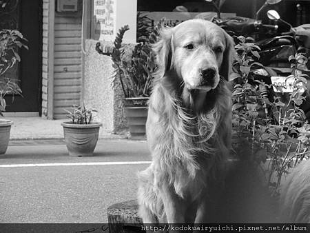 DSCN0103.jpg DSCN0103.jpg