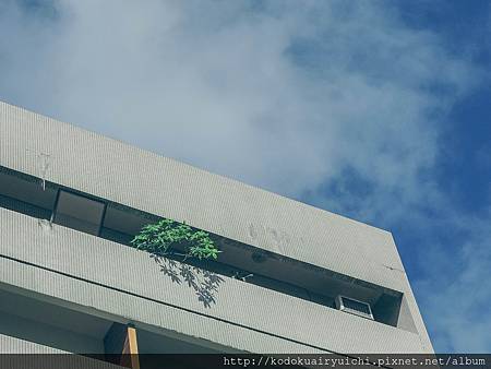 DSCN0082.jpg DSCN0082.jpg