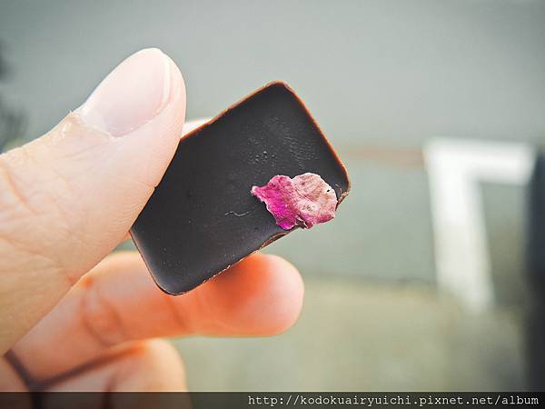 DSCN0085.jpg DSCN0085.jpg