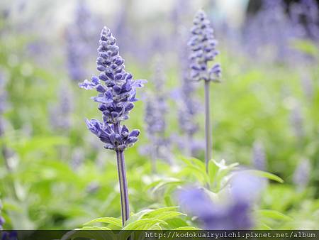 DSCN0037.jpg DSCN0037.jpg