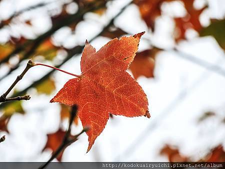 DSCN0128.jpg DSCN0128.jpg