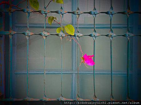 FSCN0133.jpg FSCN0133.jpg