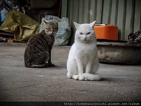 DSCN0015.jpg DSCN0015.jpg