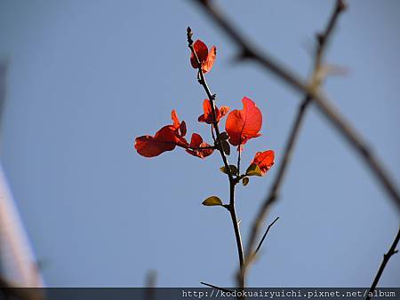 DSCN0009.jpg DSCN0009.jpg