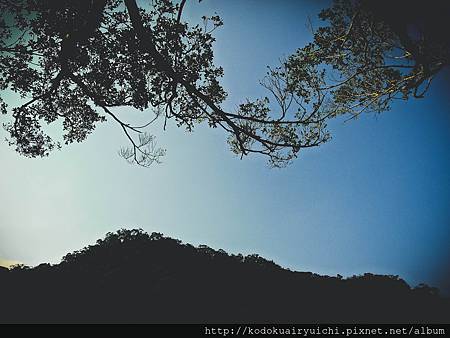 DSCN0020.jpg DSCN0020.jpg