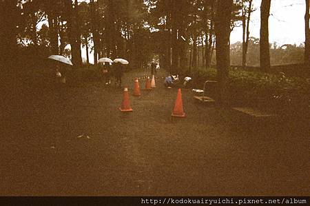 83130008.jpg 83130008.jpg