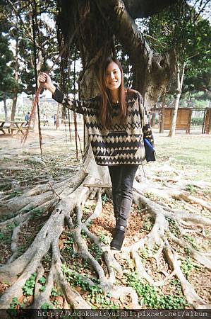 83130005.jpg 83130005.jpg