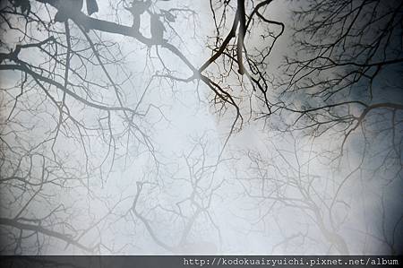 83130026.JPG 83130026.JPG