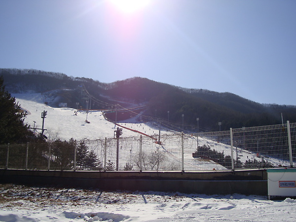 DSC06448.JPG