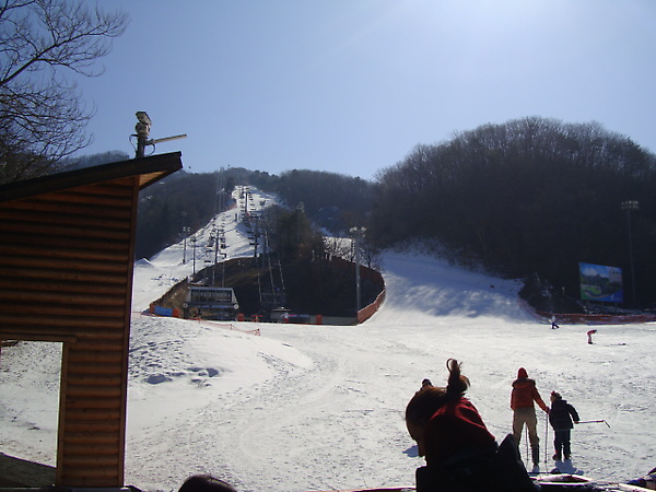 DSC06461.JPG