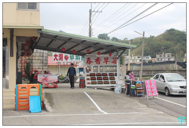 春香草莓 (1) 春香草莓 (1)
