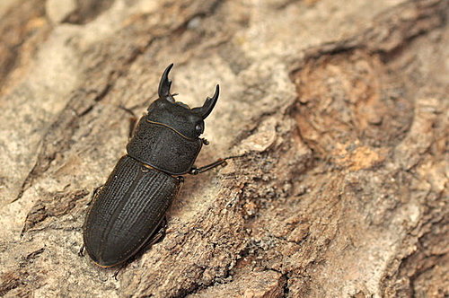 whqlEmt7ZMmN8mcd2HvHgQ whqlEmt7ZMmN8mcd2HvHgQ