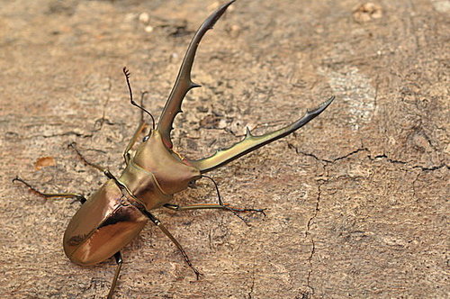 b.M72vNB.2VY7UrZY12img