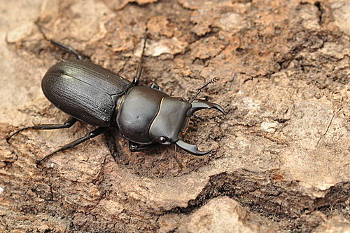 GAJIn6GSSKsYZvmdIK7zUQ GAJIn6GSSKsYZvmdIK7zUQ