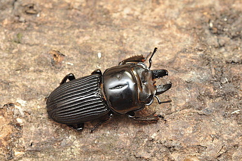 7Bkph65lg07KGdsPeDMOEw 7Bkph65lg07KGdsPeDMOEw