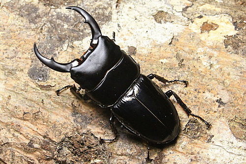 Su83Sl0ps13I4PivQWXAVw