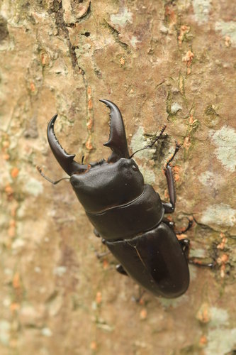 VUXSQJwP5pXMYnXro21DrQ VUXSQJwP5pXMYnXro21DrQ