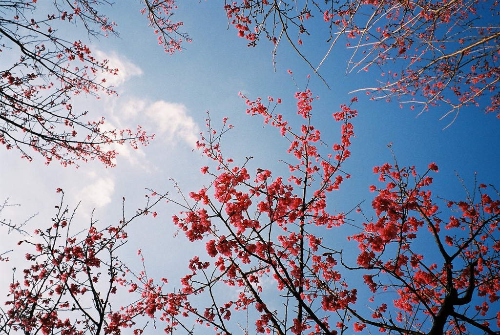 F1000018 F1000018