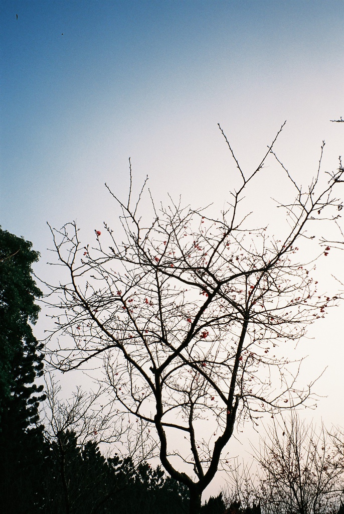 F1000031 F1000031