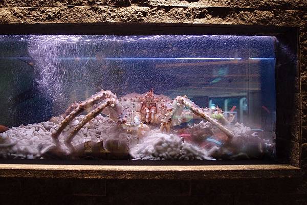 P6072106.jpg P6072106.jpg