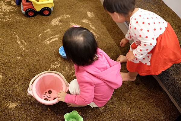 DSCF5491.jpg DSCF5491.jpg