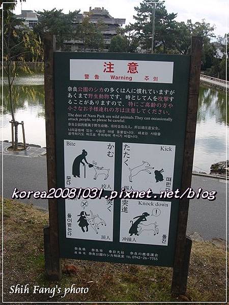 奈良公園 奈良公園