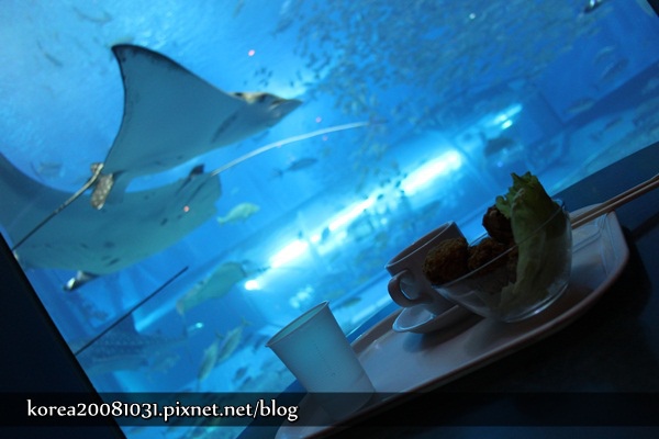 沖繩美麗海水族館 沖繩美麗海水族館