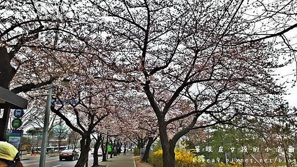 SAM_0683_meitu_17