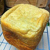 IMG_3579 IMG_3579
