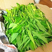 IMG_4158 IMG_4158