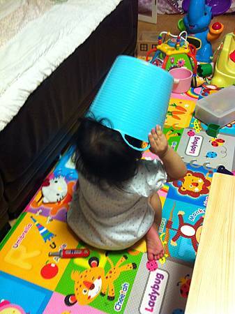 IMG_5138 IMG_5138