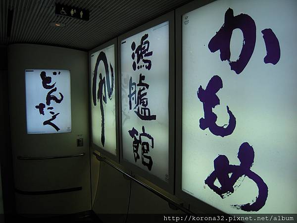 DSCN4608 DSCN4608
