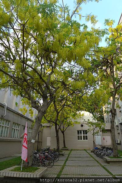 P1000616 P1000616