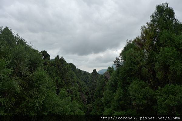 P1010566 P1010566