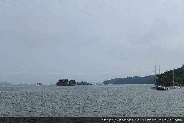 P1010959 P1010959