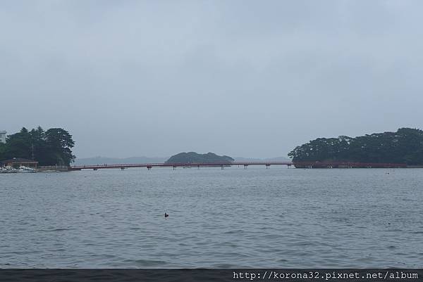 P1020070 P1020070